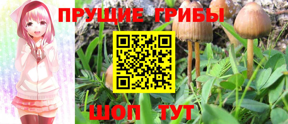 Аргун  Галлюциногенные грибы ЛСД  Вход с VPN 