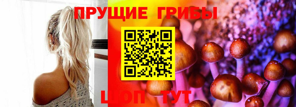 Галлюциногенные грибы MAGIC MUSHROOMS Аргун